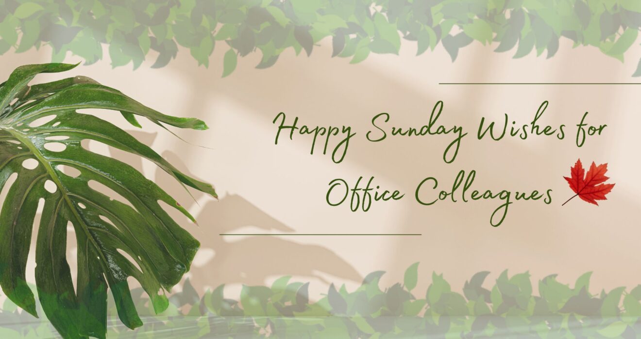 Happy Sunday Wishes for Office Colleagues