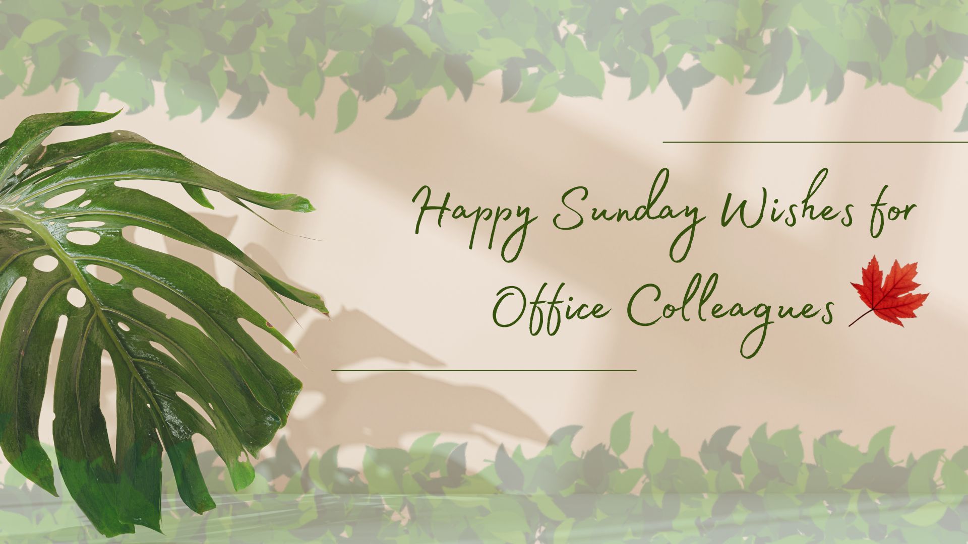 Happy Sunday Wishes for Office Colleagues